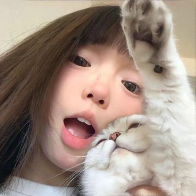 战地飘零燕
